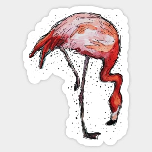 Flamingo Sticker